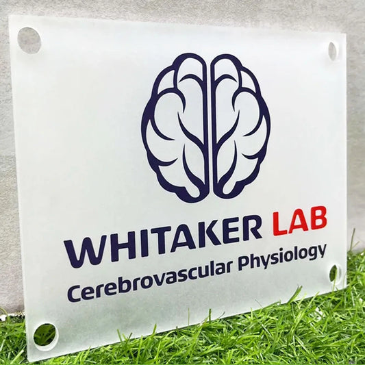 Custom Logo Sign for Wall - Rectangular Acrylic Business Logo Sign